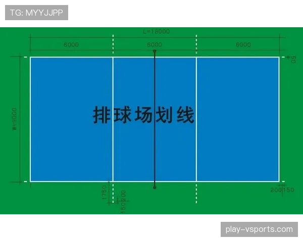 边线规则究竟如何判定?深度解析篮球出界与否的标准 边线规则究竟如何判定?深度解析篮球出界与否的标准